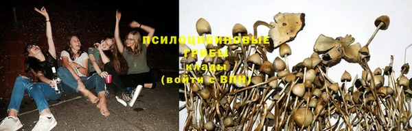 бошки Аркадак